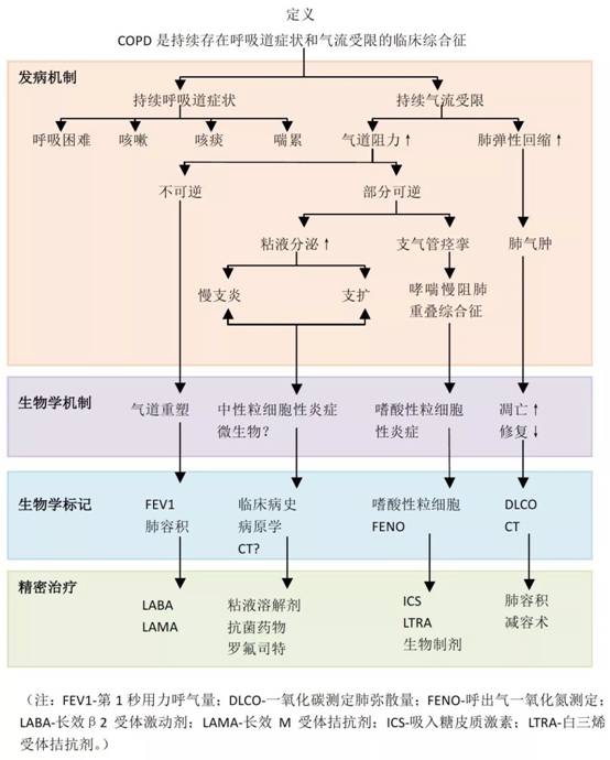 2024澳门2024免费原料
