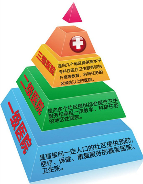 2024澳门2024免费原料